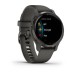 Умные часы Garmin Venu 2S серые