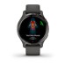 Умные часы Garmin Venu 2S серые