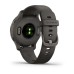 Умные часы Garmin Venu 2S серые