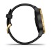 Умные часы Garmin Venu черные с золотистым безелем