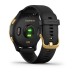 Умные часы Garmin Venu черные с золотистым безелем
