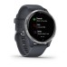 Умные часы Garmin Venu синий гранит с серебристым безелем