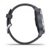 Умные часы Garmin Venu синий гранит с серебристым безелем