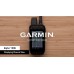 Garmin Alpha 300