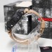Наручные часы Casio DW-6900TU-1A5